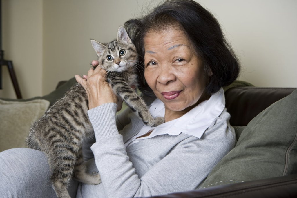 senior Asian woman with kitten