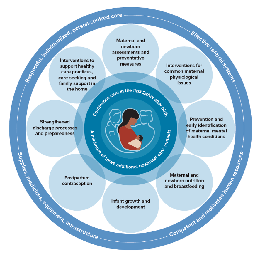 Schematic representation of the WHO postnatal care model